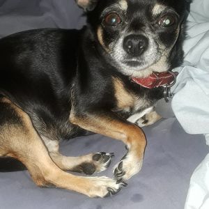 Meet your Posher, Jeff